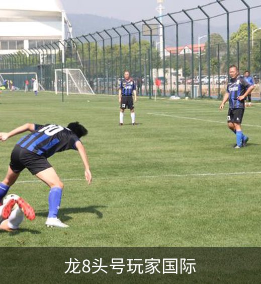 了解龙8头号玩家国际